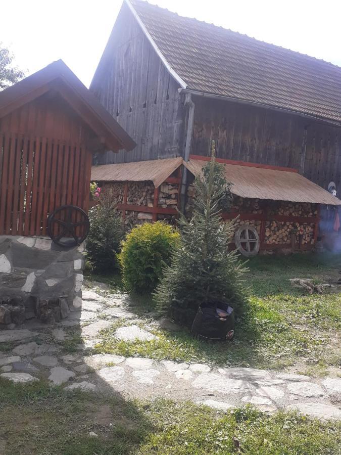 Casa Hariton Βίλα Dragus Εξωτερικό φωτογραφία