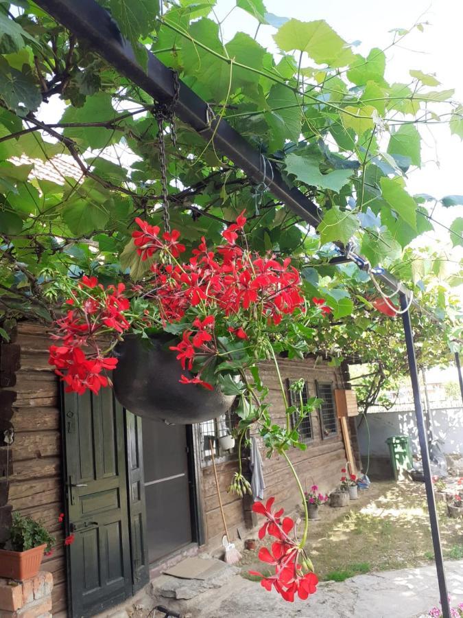Casa Hariton Βίλα Dragus Εξωτερικό φωτογραφία