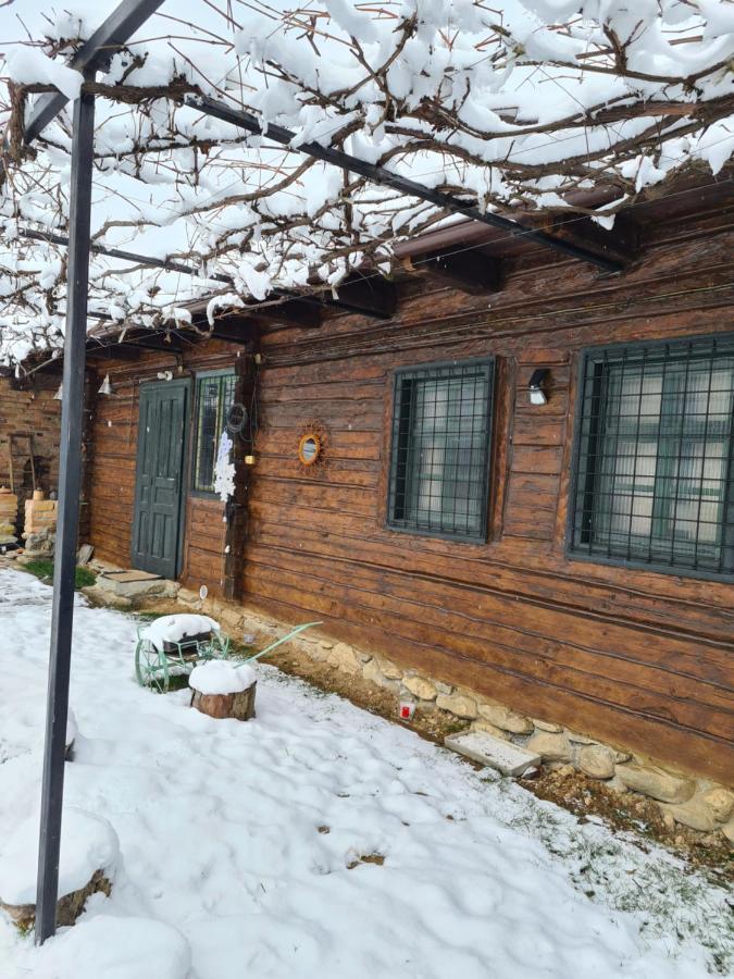 Casa Hariton Βίλα Dragus Εξωτερικό φωτογραφία