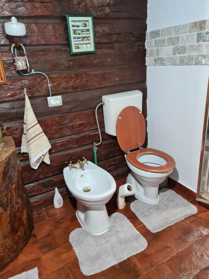 Casa Hariton Βίλα Dragus Εξωτερικό φωτογραφία